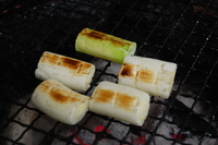 丹沢 山歩き シダンゴ山 ・宮地山編