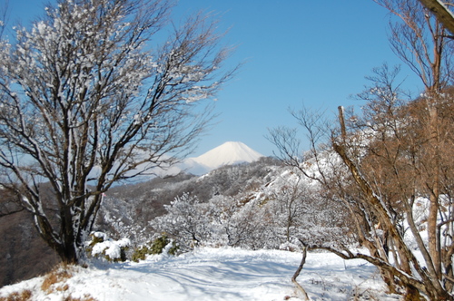 丹沢 山歩き 塔ノ岳 戸沢周回ルート 中編