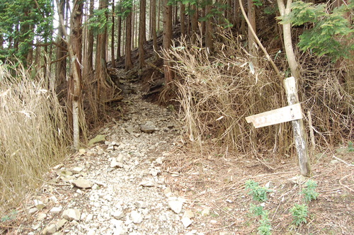 丹沢 山歩き 塔ノ岳 戸沢周回ルート 後編