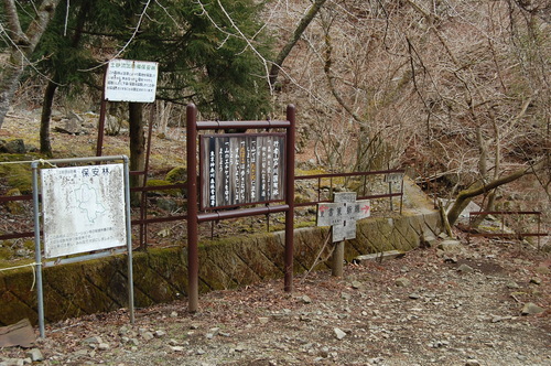 丹沢 山歩き 塔ノ岳 戸沢周回ルート 後編
