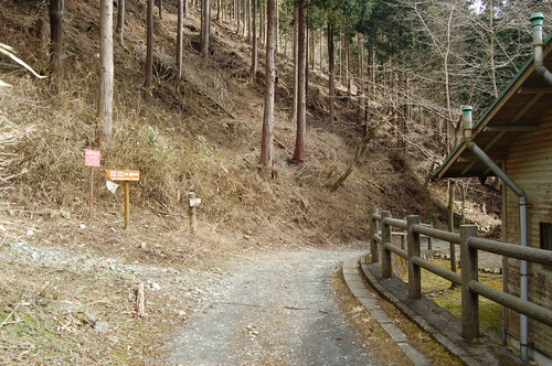 丹沢 山歩き 塔ノ岳 戸沢周回ルート 後編