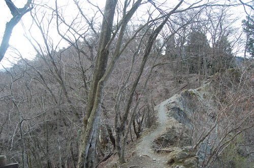 丹沢 山歩き 鍋割山 その２