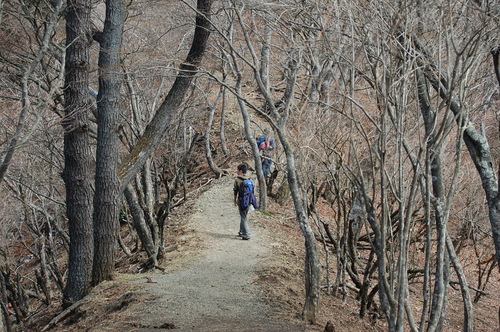 丹沢 山歩き 鍋割山 その２