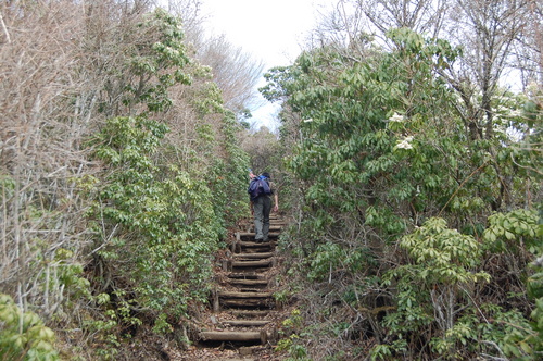 丹沢 山歩き 鍋割山 その２