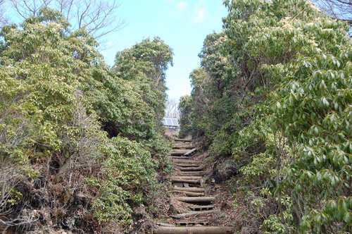 丹沢 山歩き 鍋割山 その２