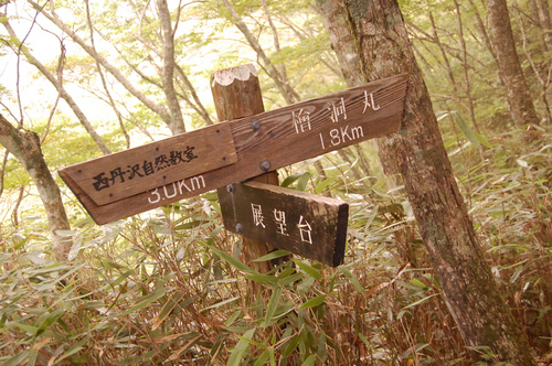 丹沢 山歩き 檜洞丸 前編　