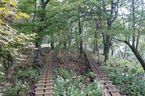 丹沢 山歩き 檜洞丸 前編　