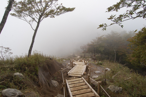 丹沢 山歩き 檜洞丸 前編　