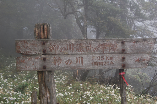 丹沢 山歩き 檜洞丸 前編　