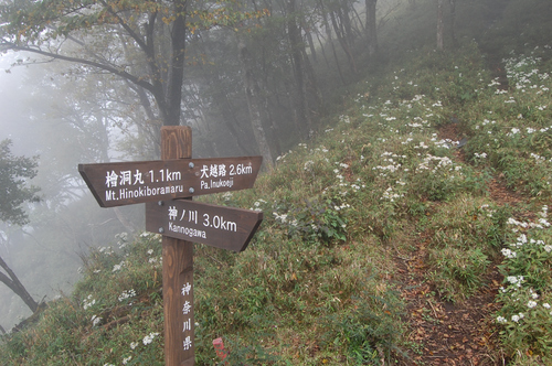 丹沢 山歩き 檜洞丸 前編　