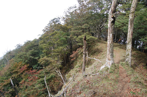 丹沢 山歩き 檜洞丸 前編　