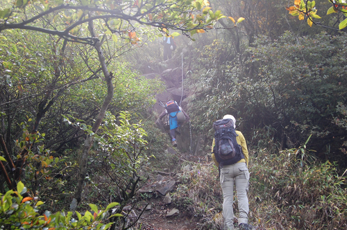 丹沢 山歩き 檜洞丸 前編　