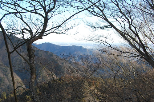 丹沢 山歩き 梅ノ木尾根 大山 後編