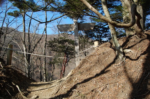 丹沢 山歩き 梅ノ木尾根 大山 後編
