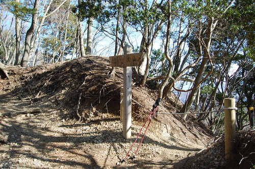 丹沢 山歩き 梅ノ木尾根 大山 後編