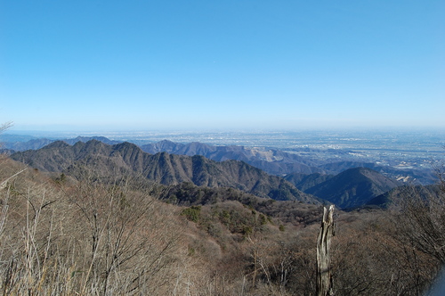 丹沢 山歩き 梅ノ木尾根 大山 後編