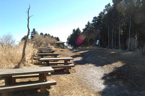 丹沢 山歩き 梅ノ木尾根 大山 後編