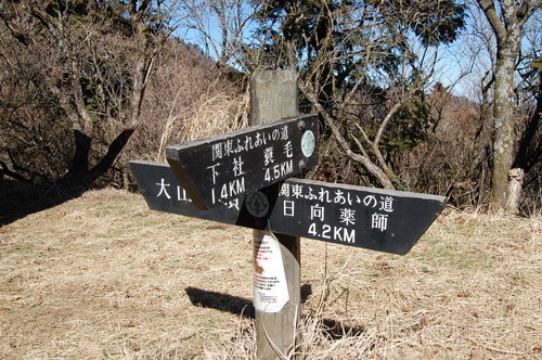 丹沢 山歩き 梅ノ木尾根 大山 後編
