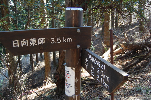 丹沢 山歩き 梅ノ木尾根 大山 後編