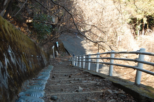 丹沢 山歩き 梅ノ木尾根 大山 後編