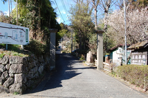 丹沢 山歩き 梅ノ木尾根 大山 後編