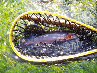 逃亡する季節　たいせつな場所　　