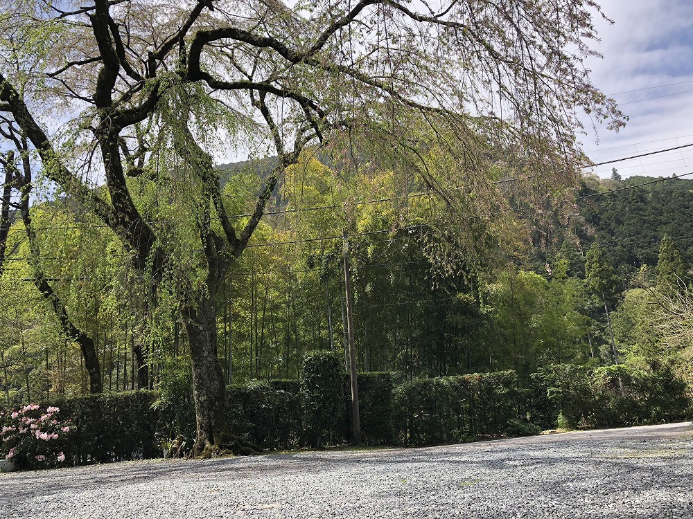 和音