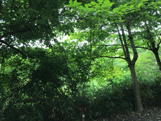 (^ ^)楽しかった夏休みキャンプ①