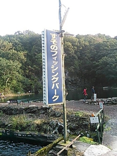 朝好調　すそのFP