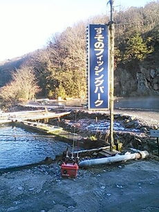 2017年釣り納め