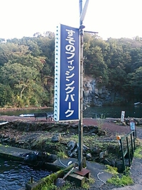 祝日　すそのFP