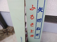 矢切ネギ