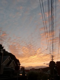 久しぶりにアジング 2014/09/30 14:11:14