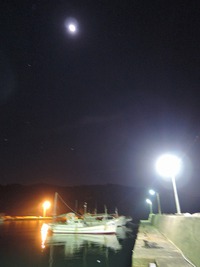 根魚狙いが・・・ 2015/08/10 12:48:36