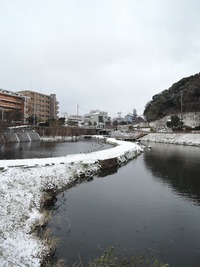 大寒波 2016/01/25 15:17:26