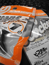 ジャングルジム 2015/11/06 15:10:04