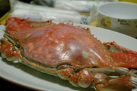 髪は食ってもガニ食うな 2014/11/10 14:26:33