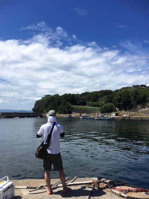 行ってきました