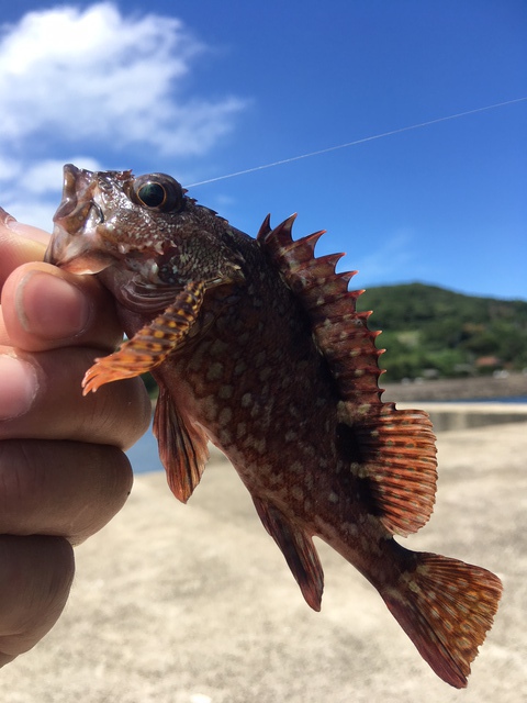 行ってきました