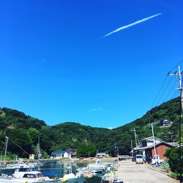 行ってきました