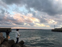尺メバル 2015/12/14 15:08:04