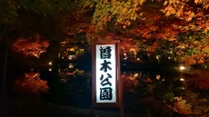 曽木公園の逆さもみじ(2018.11.10) 2018/11/12 20:37:26