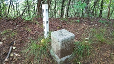 この夏に登った山たち 2020/08/30 22:10:00