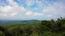 炮烙山と六所山に山登り(2020.7.19) 2020/07/19 21:00:00