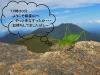 キリギリス