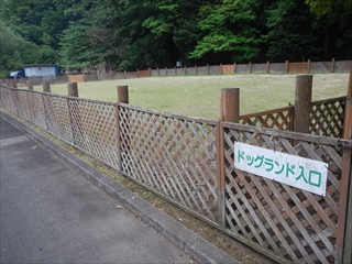 ♪　はるばる来たぜ～早川町～　♪　其の二　（by　早川町オートキャンプ場）