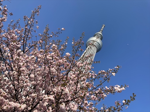 2021年　年越しキャンプ　2日目　（大原オートキャンプインそとぼう）