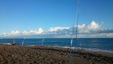 約20年ぶりの釣り