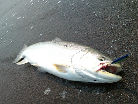 釣り