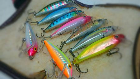 秋の釣りはじまり